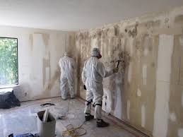 Best Attic Mold Removal  in Bartonville, TX